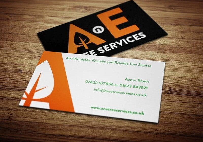 AnE-Biz-cards-mock-up