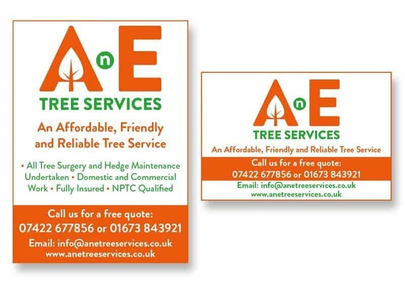 AnE-press-ads