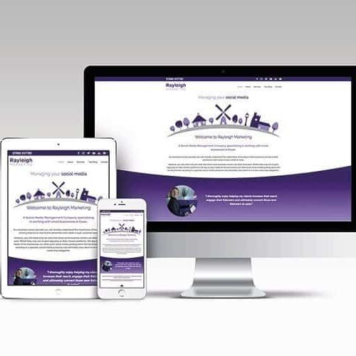 RAY-responsive-Web-design-HOME-landscape